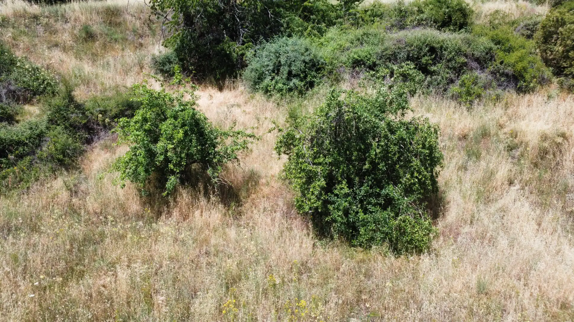 Terreni e lotti in vendita a Alpujarra de la Sierra, imagen 49