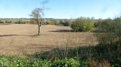 Foto 2 de Terreno en venta en Cebolla, Toledo