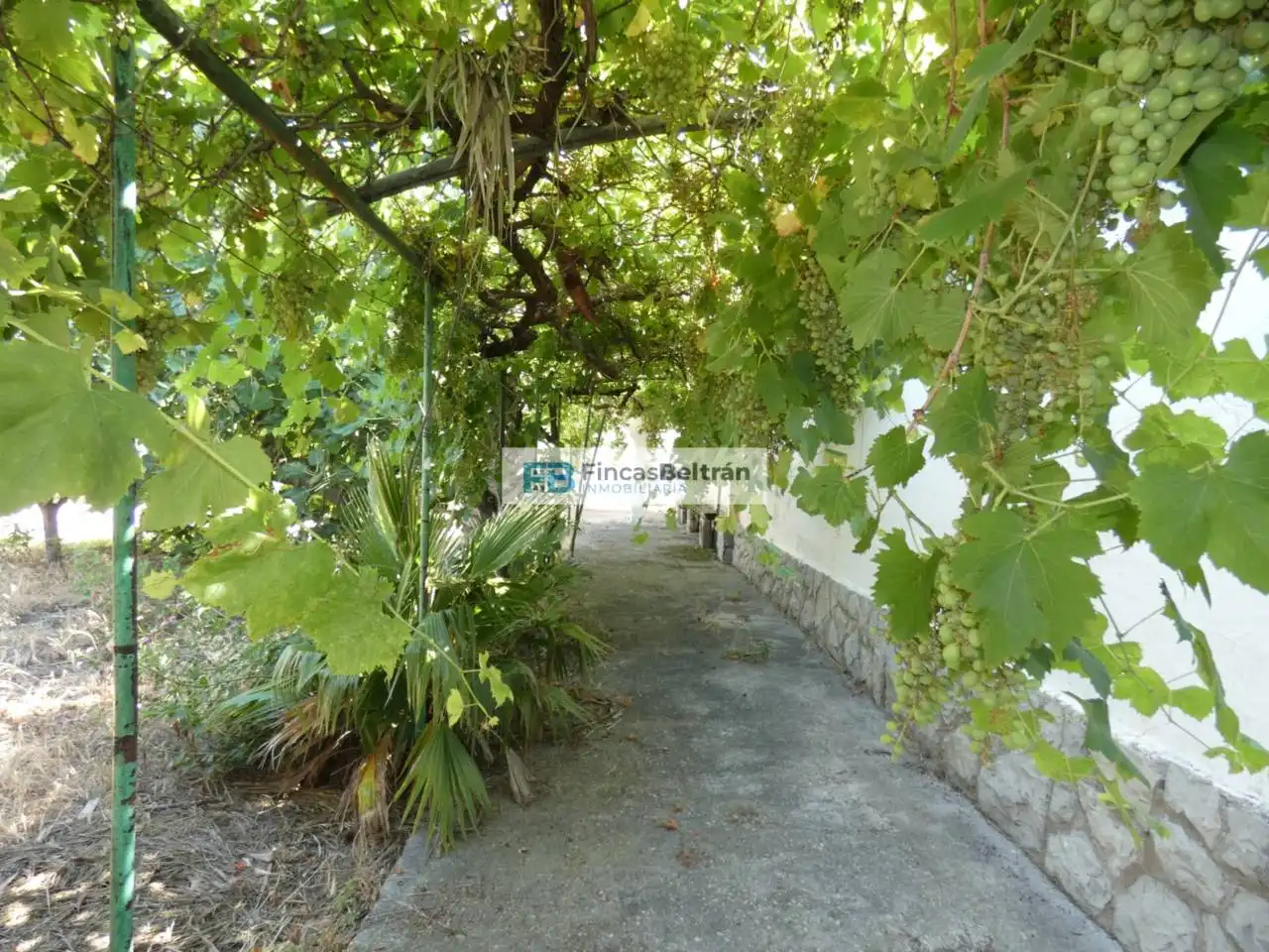 Jardí de Finca rústica en venda en Benicarló amb Jardí privat i Terrassa