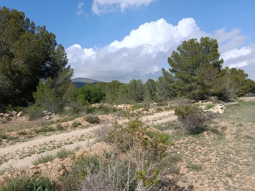 Residential land for sale in N/A, imagen 2