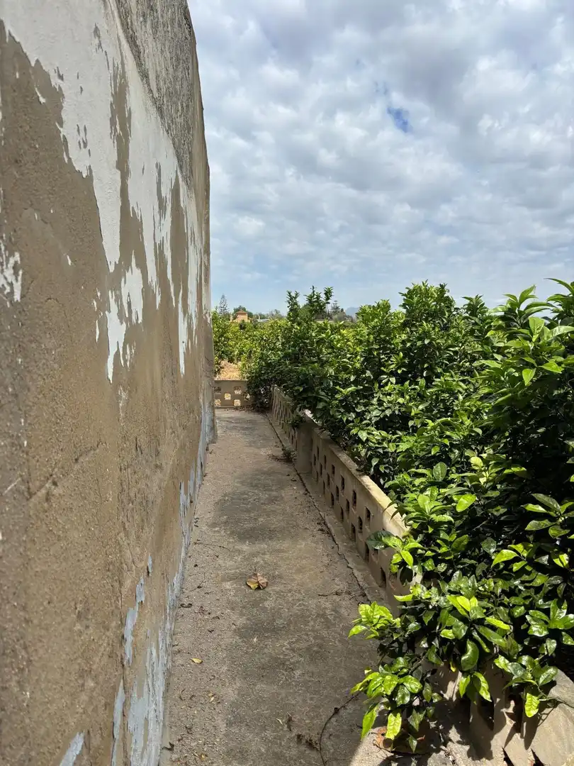 Finca rústica en venta en Guardamar del Segura