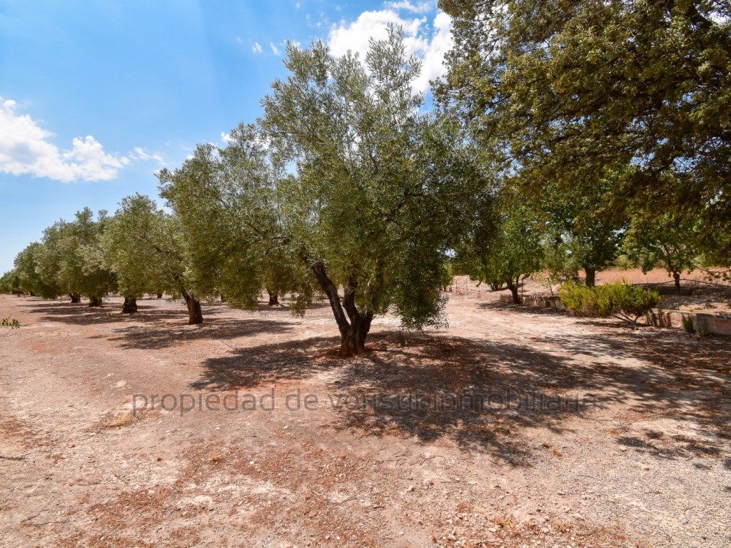 Residencial en venda en Caudete