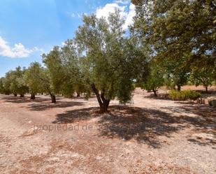 Residential for sale in Caudete