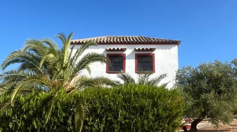 Finca de 7 Fanegas de olivar marteño en Espejo: Un Refugio Rural Único, immagine 3