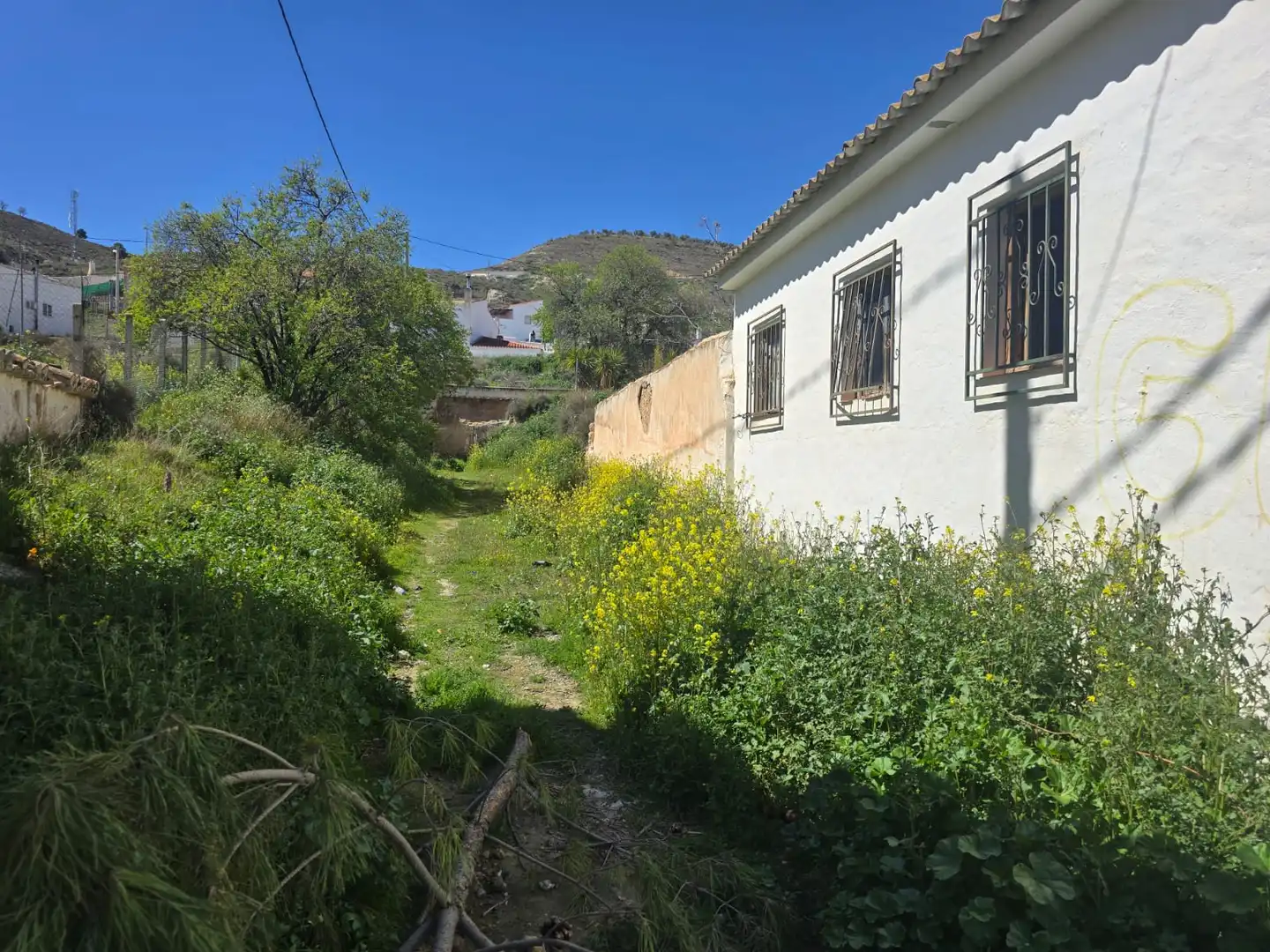 Vista exterior de Casa o xalet en venda en Baza