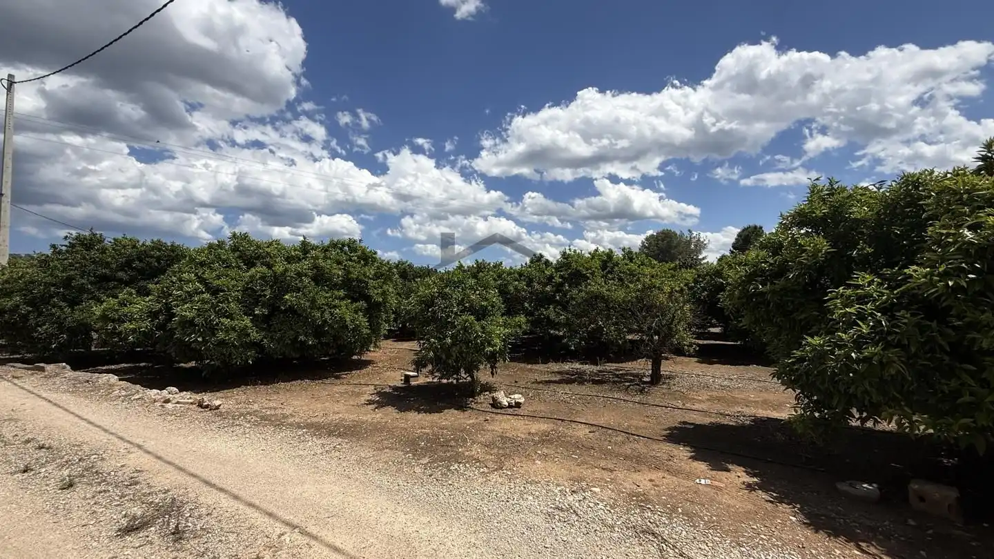 Terrain rustique à vendre à La Pobla Llarga, imagen 5
