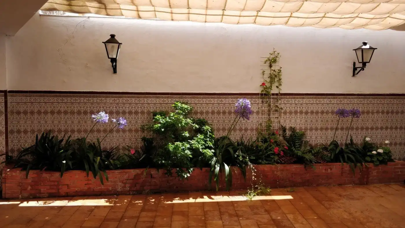 Jardín de Casa o chalet en venta en El Puerto de Santa María con Terraza