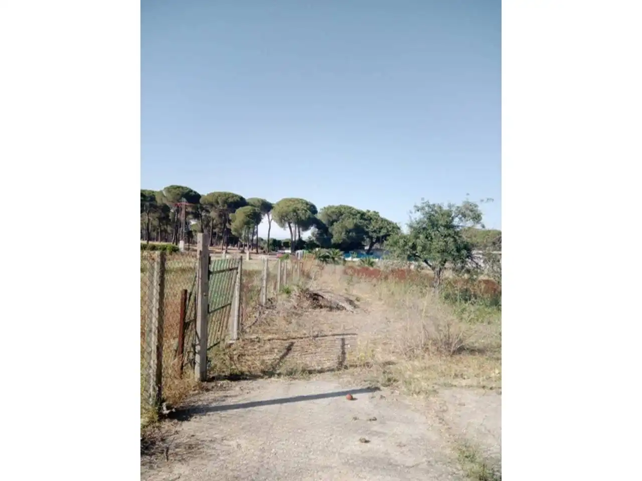 Residencial en venta en Bonares