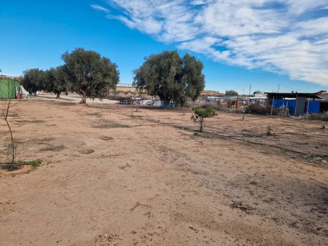 Terreno en Venta en Carretera Bacarot, 50 en El Bacarot