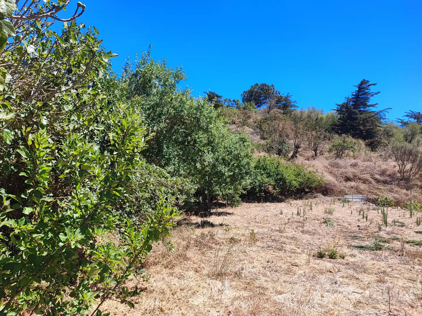 Finca rústica en venta en El Rosario con Jardín privado, Terraza y Trastero