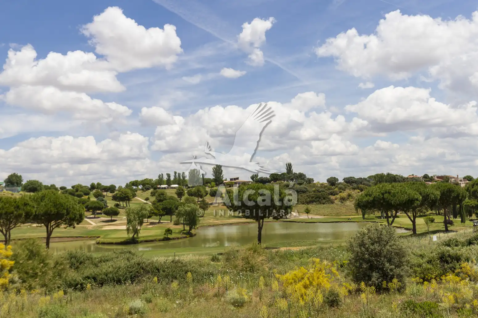 Terreny rústic en venda a Cabanillas del Campo, imagen 16