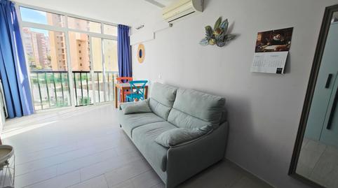 Foto 2 de Estudi en venda a Juzgados - Plaza de Toros, Benidorm