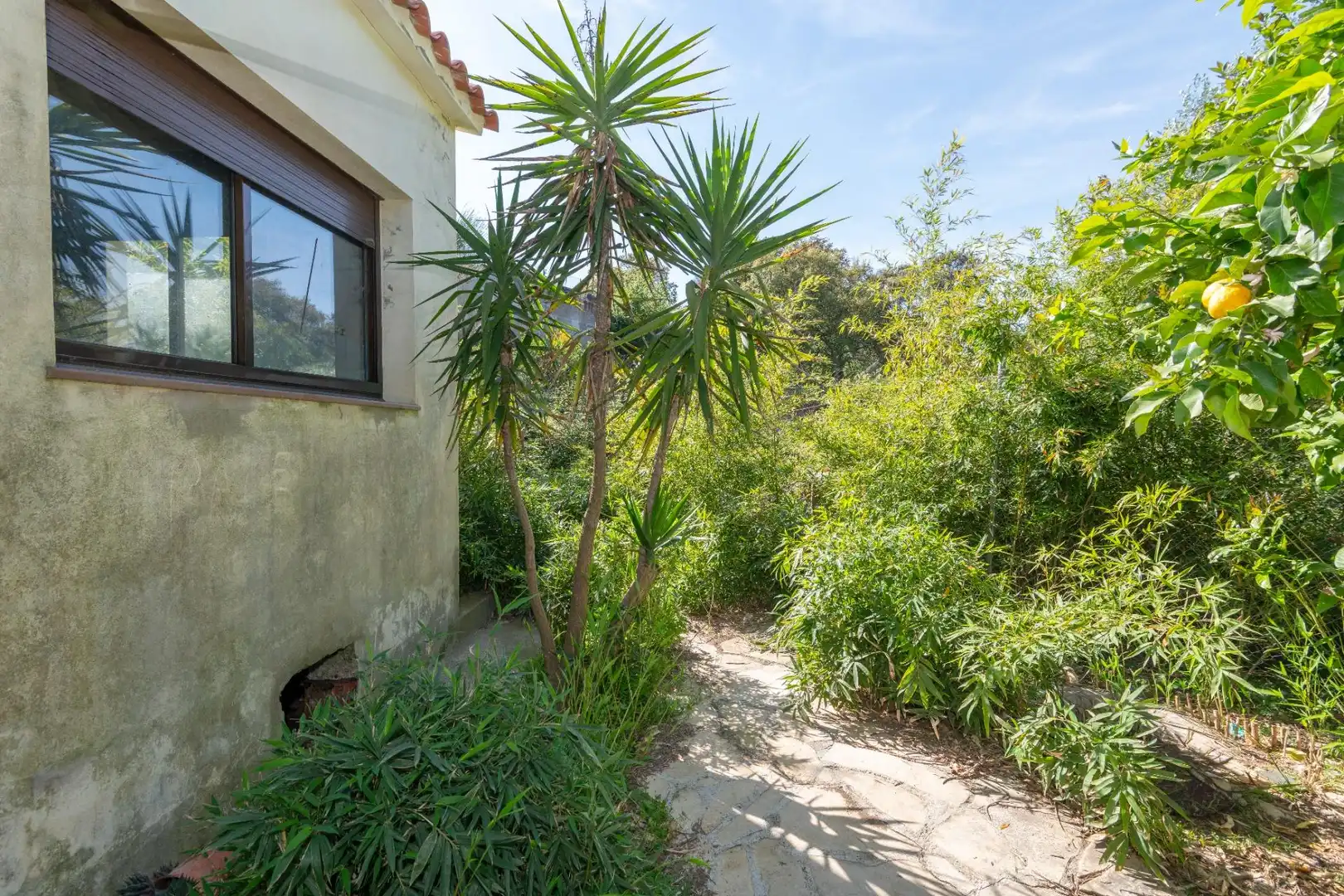 Chalet con terraza en venta en SUREDA (SELVA BRAVA), imagen 41