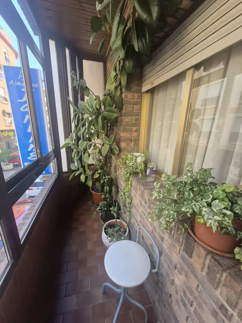 Piso en venta en Ciruela, imagen 4