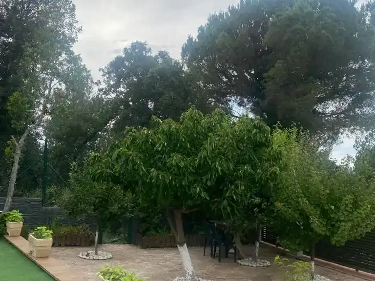 Garden of Flat for rent in Tordera