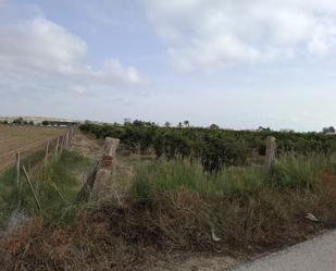 Terreny en venda en Guardamar del Segura