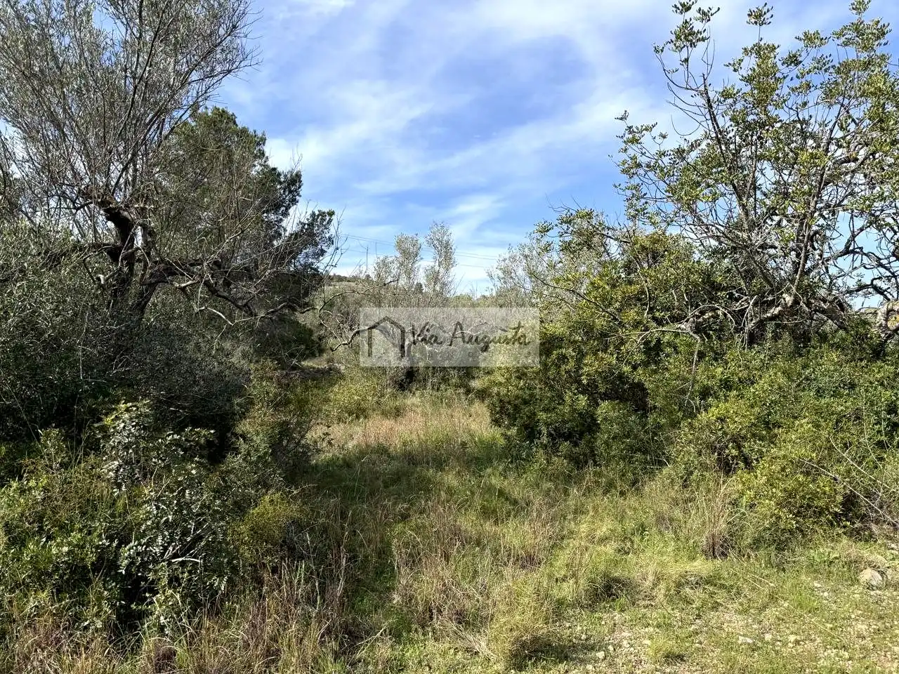 Terreno rustico in vendita a oliveres, imagen 9