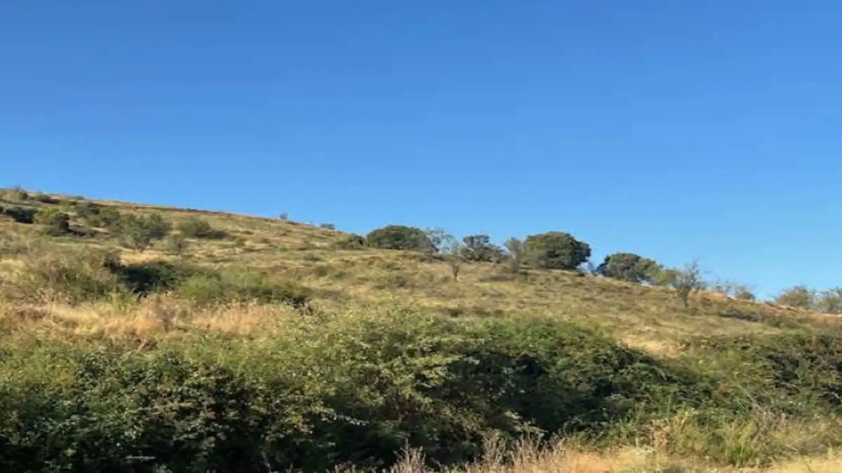 Residencial en venta en Alcanadre