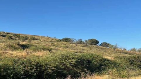 Foto 2 de Residencial en venta en Los Altos , Pg. 18, -1, Alcanadre, La Rioja