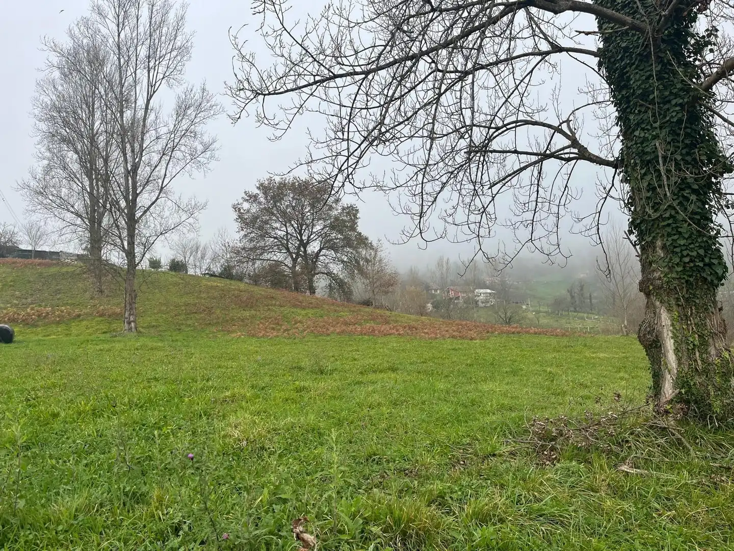 Residential land for sale in Polígono 11 Parcela 301 MATA LA FAME. LANGREO (AS 11, imagen 15