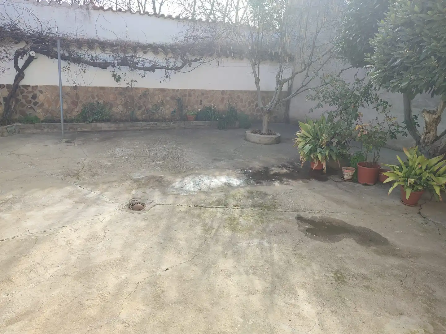 Jardín de Casa o chalet en venta en Caracuel de Calatrava