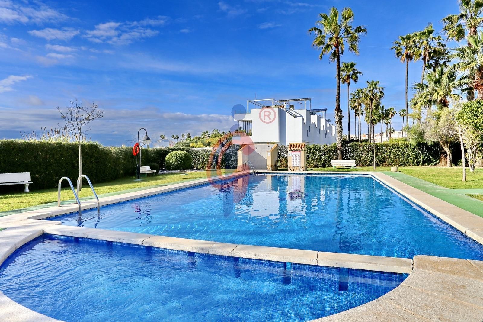 Swimming pool of Single-family semi-detached for sale in Guardamar del Segura  with Terrace and Community pool