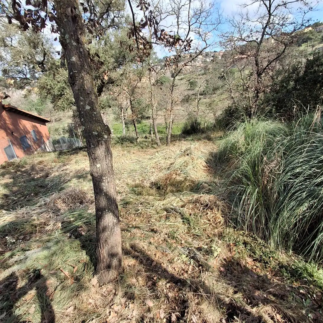 Terrenys i solars en venda a Maçanet de la Selva pueblo, imagen 10