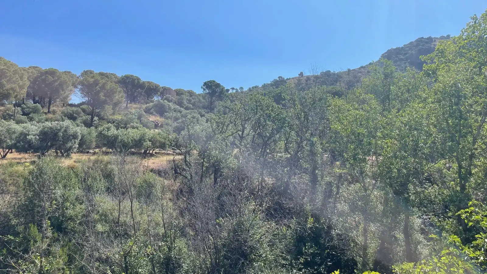 Finca rústica en venta en Vilajuïga con Terraza, Trastero y Balcón