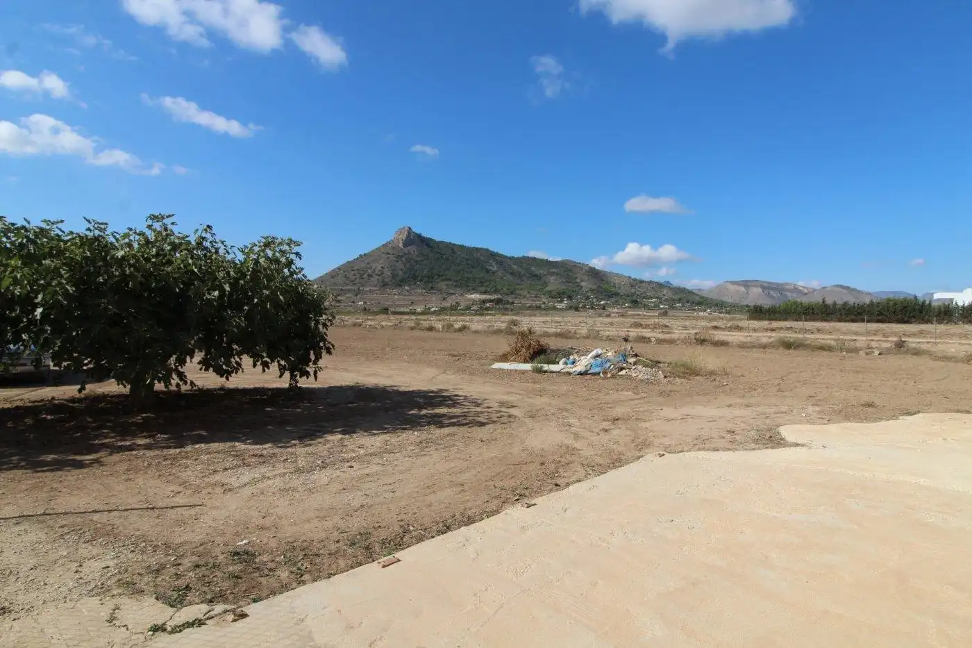 Houses for sale in Aspe