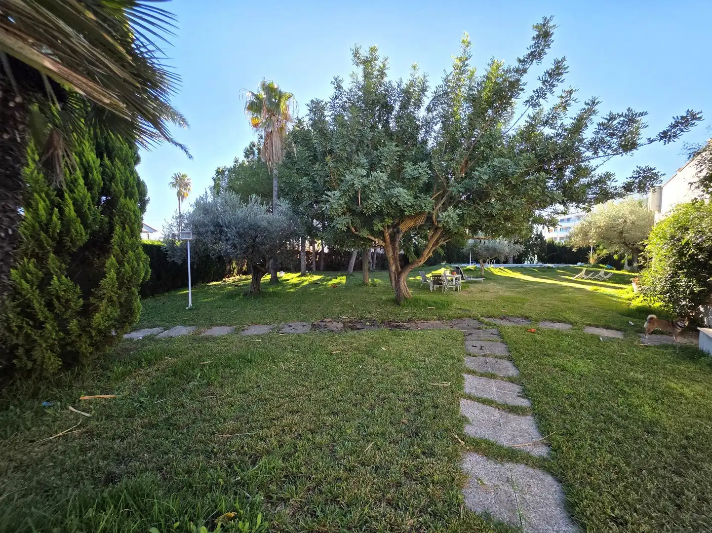 Jardí de Casa o xalet en venda en Castellón de la Plana / Castelló de la Plana amb Jardí privat, Terrassa i Piscina