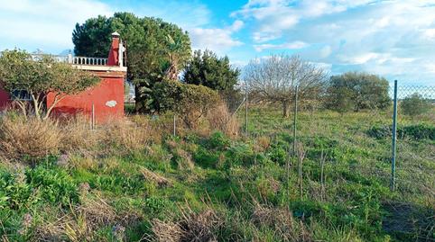 Foto 2 de Finca rústica en venda a Calle las Veguetas, Carretera de Sanlúcar - Sudamérica, El Puerto de Santa María