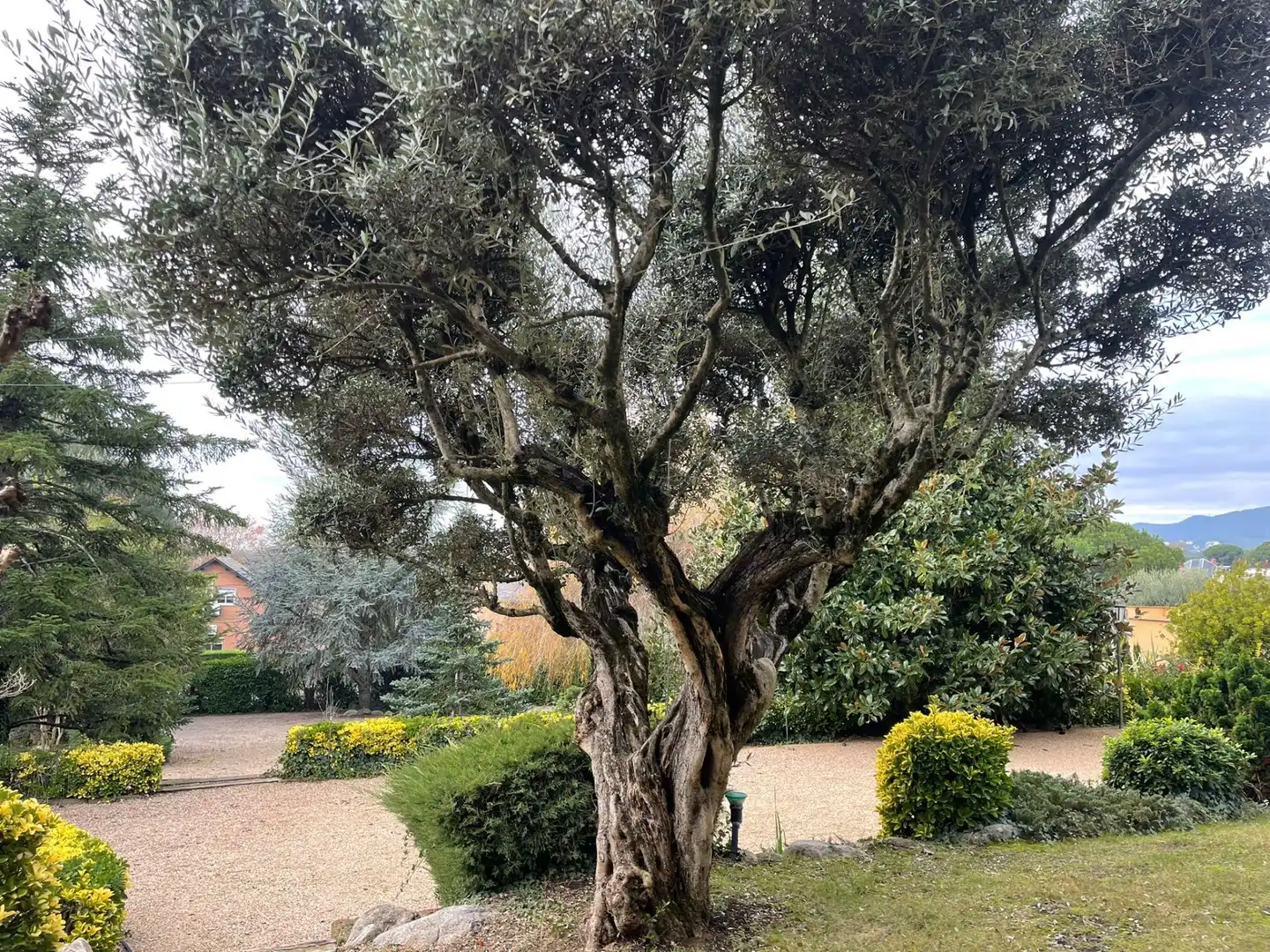 Jardí de Casa o xalet en venda en Sant Antoni de Vilamajor amb Aire condicionat, Calefacció i Jardí privat
