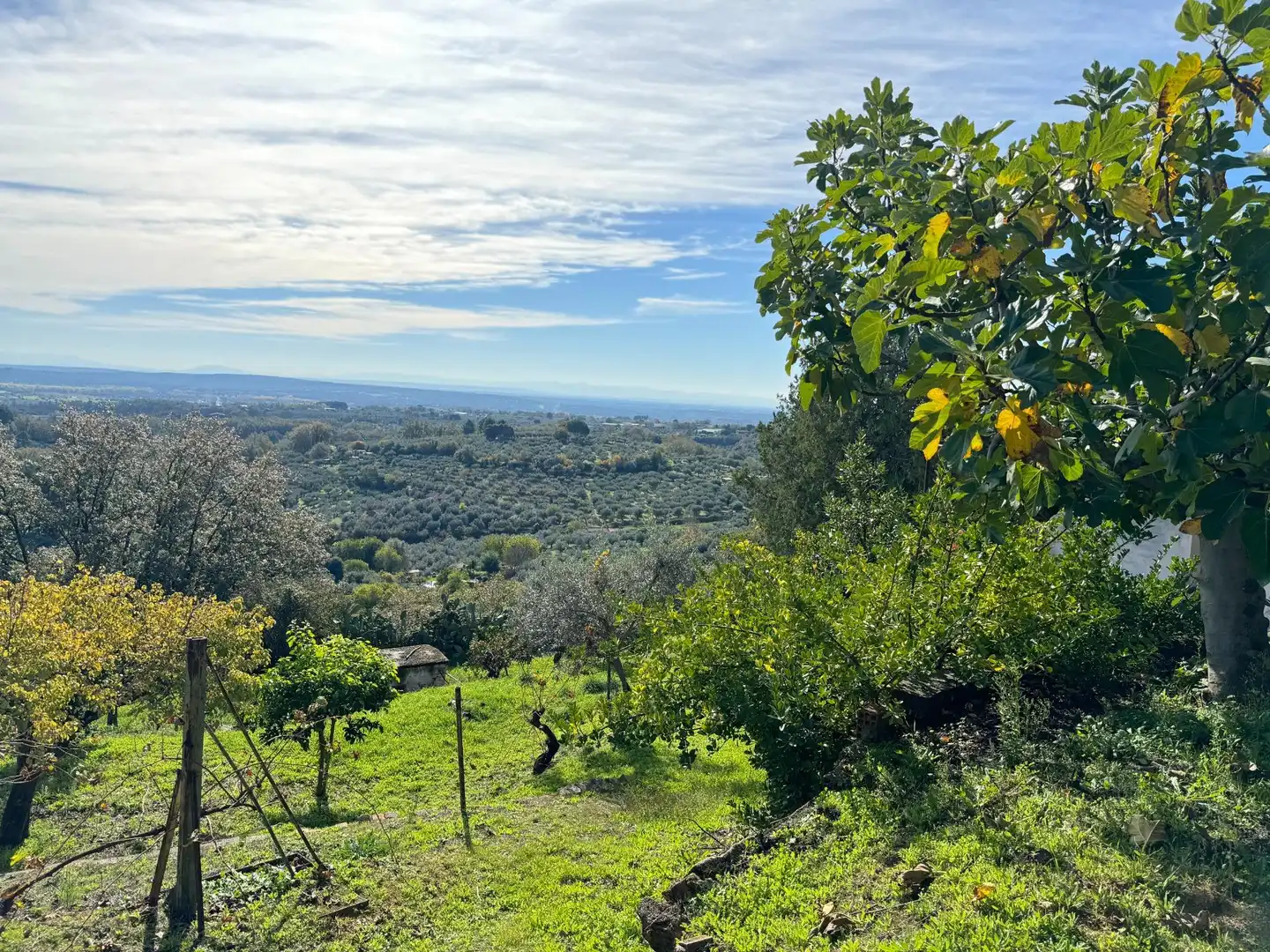 Finca rústica en venta en Candeleda con Jardín privado
