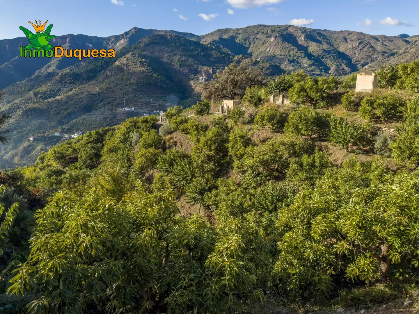 Casa rústica en venta en Calle Diseminados, Pol-8 Par-359 000, imagen 28