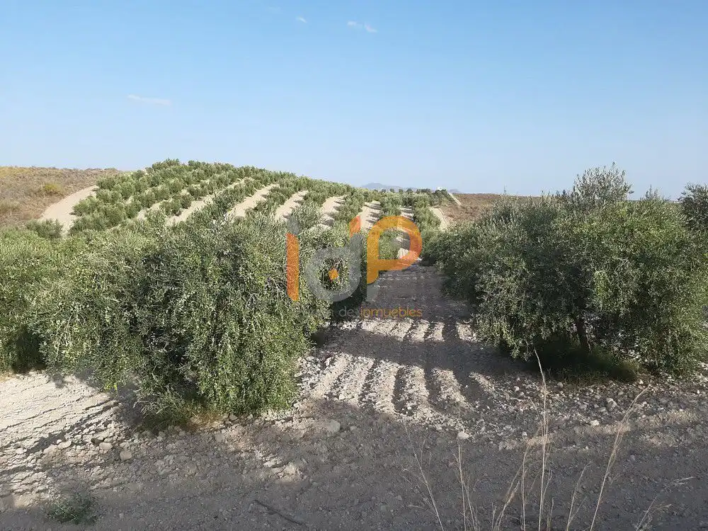 Maison à vendre à Sorbas, imagen 2