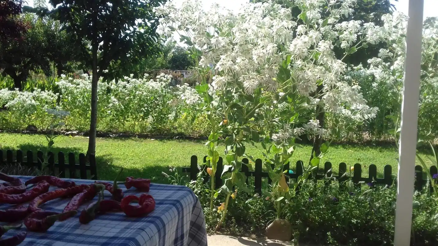 Garden of Houses for sale in Coria
