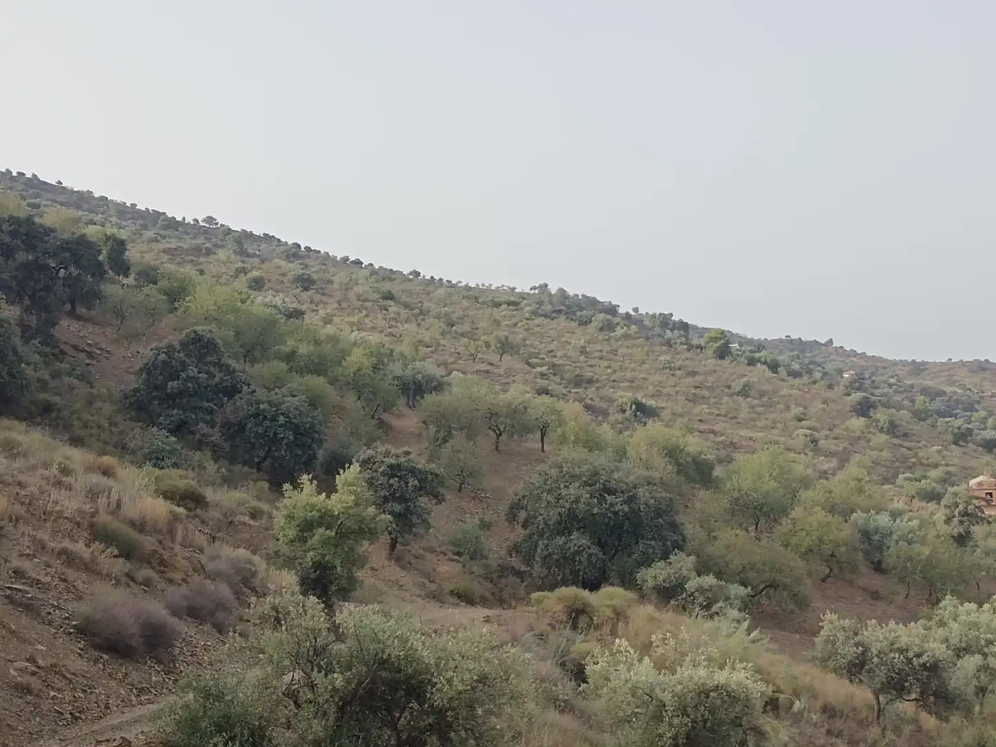 Terreni e lotti in vendita a Este, imagen 6