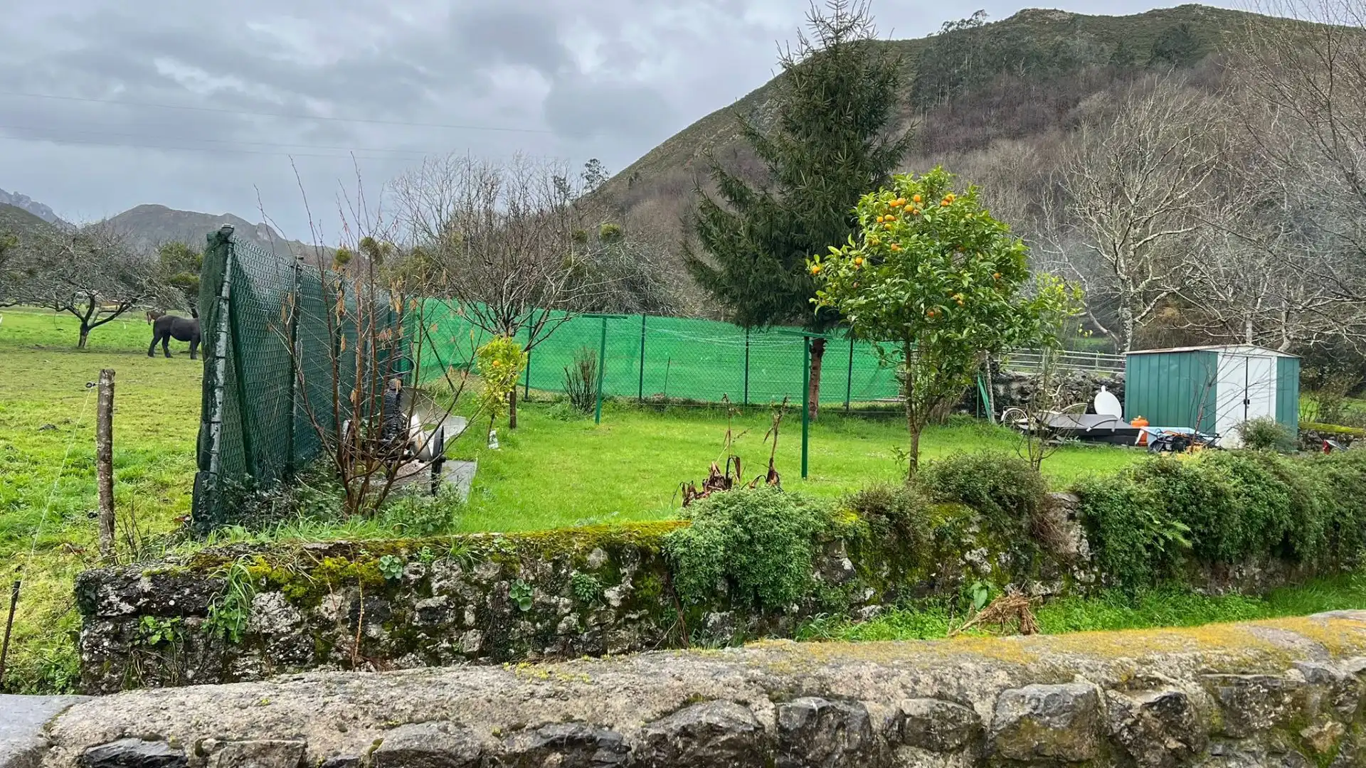 Houses for sale in Cangas de Onís  with Private garden