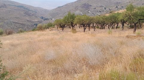 Foto 3 de Terreno en venta en Calle Ladera, Bacares, Almería