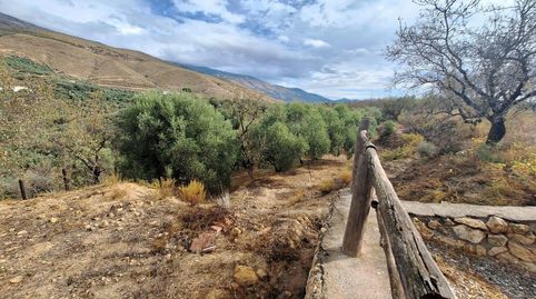 LanjarónFinca Rustica, imatge 5