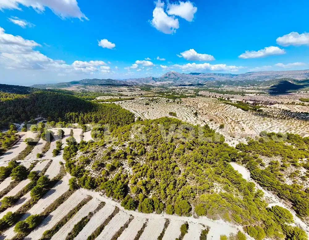 Finca rústica en venta en Jijona / Xixona