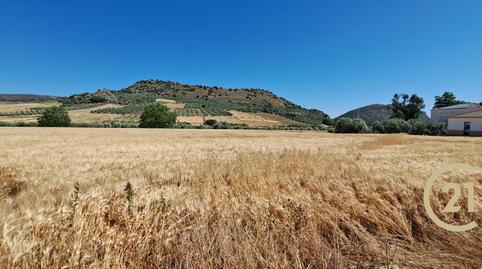 Photo 5 of Residential for sale in Carretera Ronda Campillos, Cuevas del Becerro, Málaga