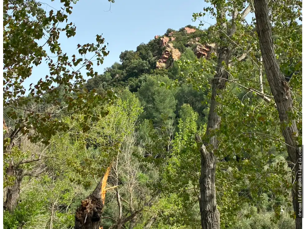 Lands and plots for sale in Borriol, imagen 5