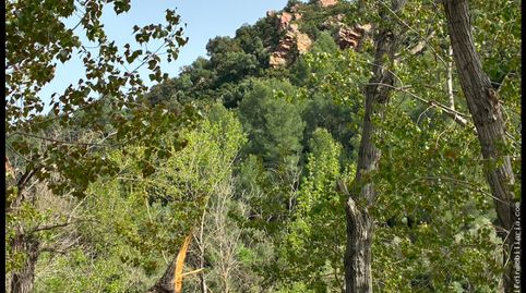 SE VENDE PARCELA  EN PLENA NATURALEZA, immagine 5
