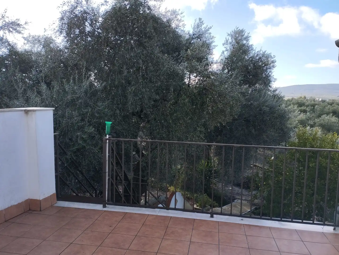 Jardín de Finca rústica en venta en Cabra