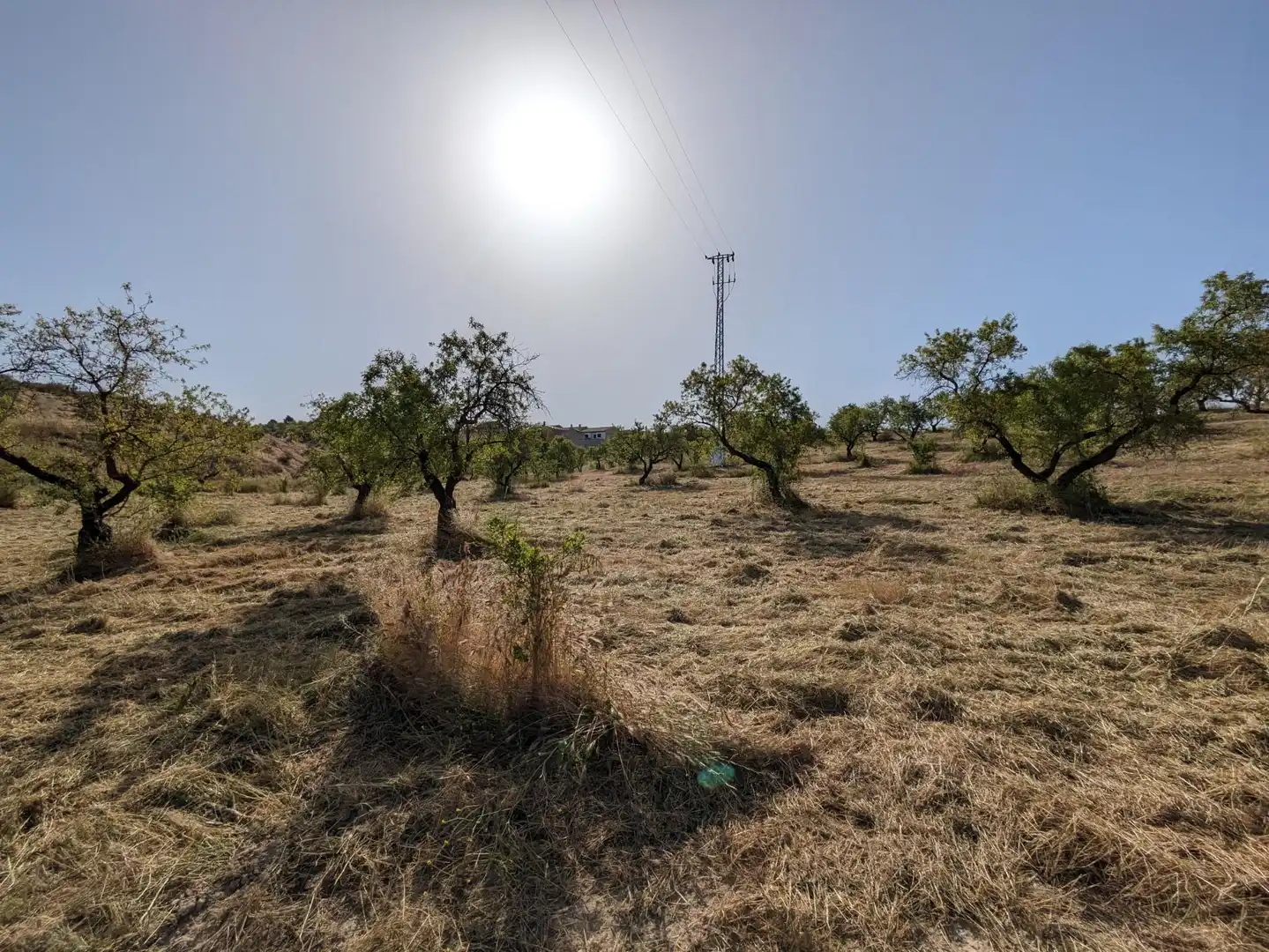Residential land for sale in EXTRARRADIO, imagen 9