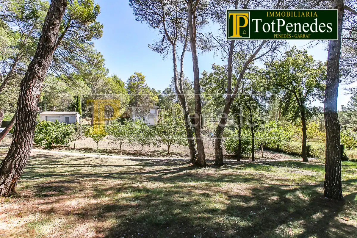 Terreno residenziale in vendita a Carrer David, imagen 2