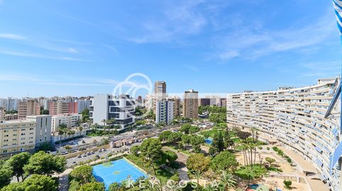 Foto 3 de Piso en venta en Avenida Benidorm, Playa de San Juan, Alicante / Alacant