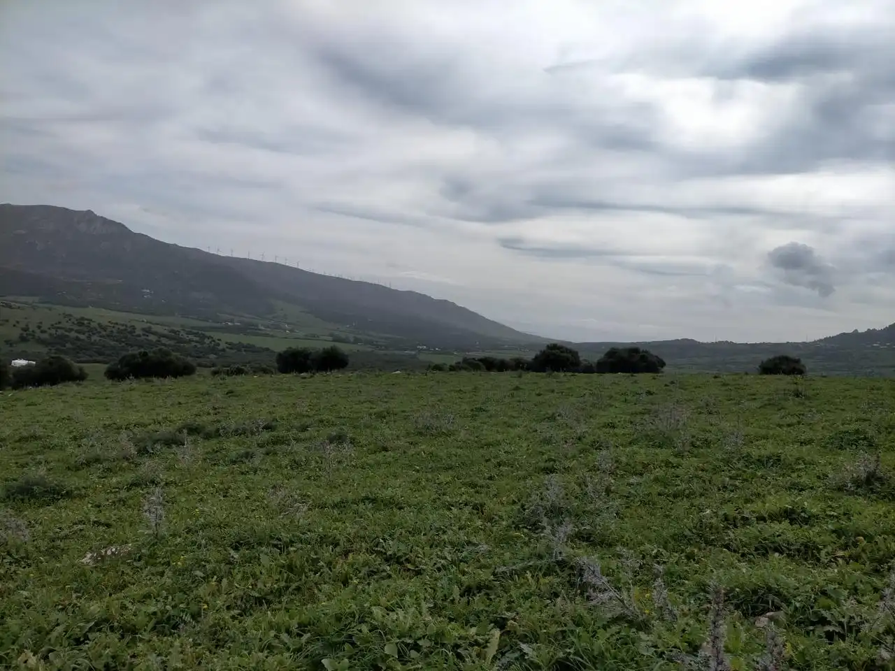Residential for sale in Ubrique
