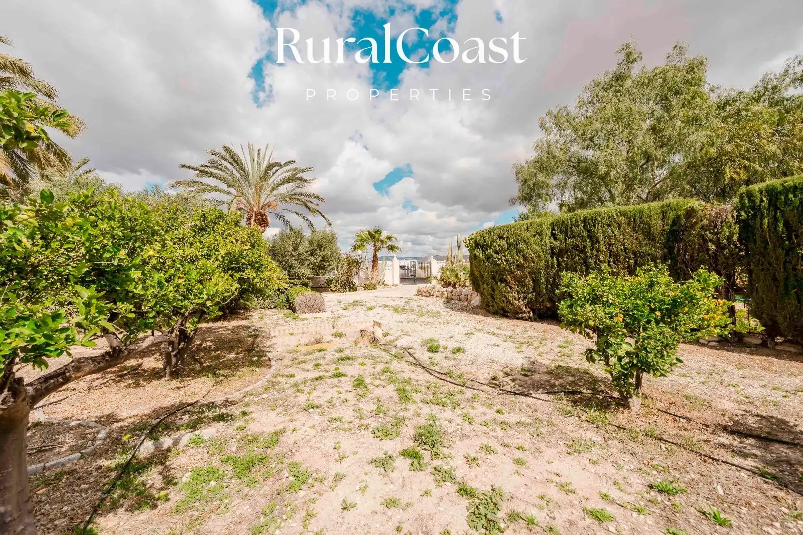 Casa o chalet en venta en JOAN VALLS, Valle del Sol